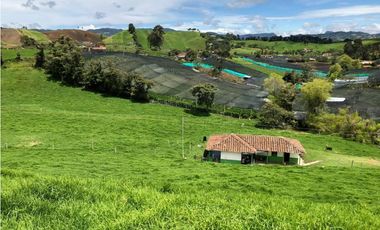 Venta de Finca en la Union