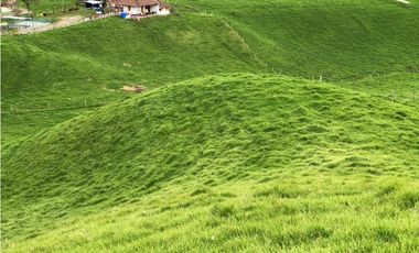 Venta de Finca en la Union