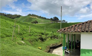 Venta de Finca en la Union