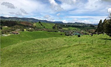 Venta de Finca en la Union