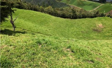 Venta de Finca en la Union