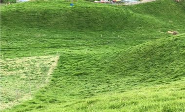 Venta de Finca en la Union