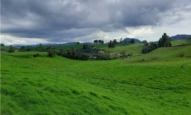 Venta de Finca en la Union