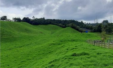 Venta de Finca en la Union
