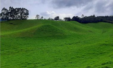 Venta de Finca en la Union