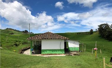 Venta de Finca en la Union