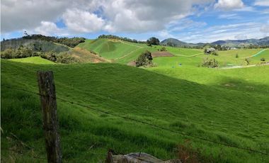 Venta de Finca en la Union
