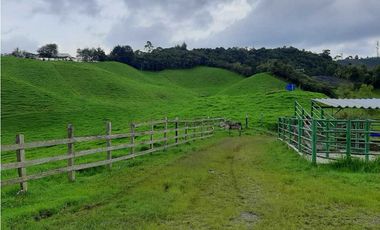 Venta de Finca en la Union