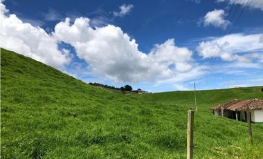 Venta de Finca en la Union