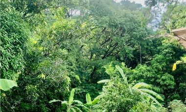 FINCA EN BONDA-SANTA MARTA