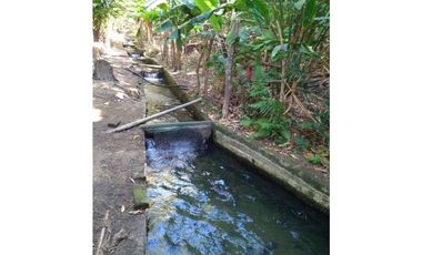 FINCA EN BONDA-SANTA MARTA