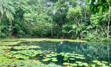 FINCA EN BONDA-SANTA MARTA