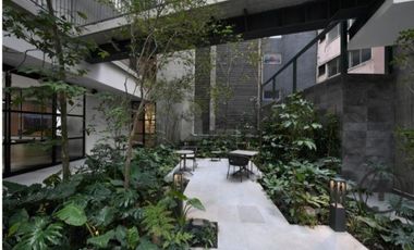 Departamentos y Estudios en Renta - Roma Norte