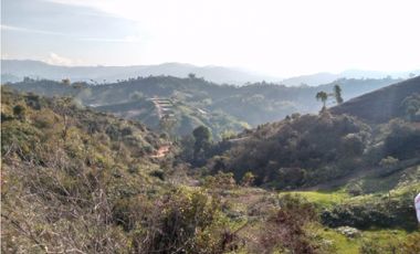Lote Plano en venta en El Peñol de 1000m2