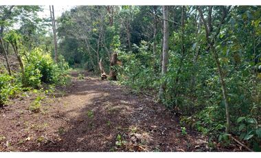 LA CHORRERA / FINCA PARA DESARROLLO INMOBILIARIO / 19 HECTAREAS