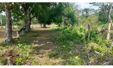 LA CHORRERA / FINCA PARA DESARROLLO INMOBILIARIO / 19 HECTAREAS