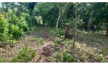 LA CHORRERA / FINCA PARA DESARROLLO INMOBILIARIO / 19 HECTAREAS