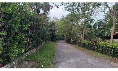 LA CHORRERA / FINCA PARA DESARROLLO INMOBILIARIO / 19 HECTAREAS