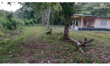 LA CHORRERA / FINCA PARA DESARROLLO INMOBILIARIO / 19 HECTAREAS