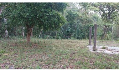 LA CHORRERA / FINCA PARA DESARROLLO INMOBILIARIO / 19 HECTAREAS