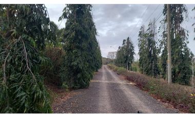 LA CHORRERA / FINCA PARA DESARROLLO INMOBILIARIO / 19 HECTAREAS