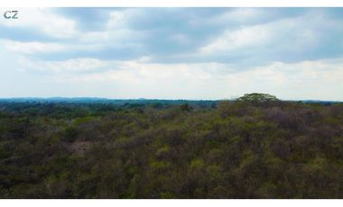 Venta de finca en El Higo de Santiago de Veraguas.