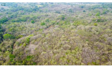 Venta de finca en El Higo de Santiago de Veraguas.