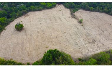 Venta de finca en El Higo de Santiago de Veraguas.