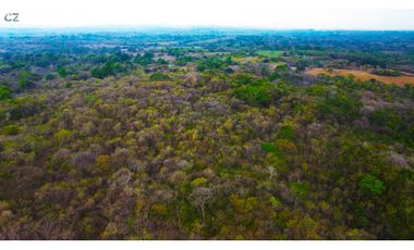 Venta de finca en El Higo de Santiago de Veraguas.