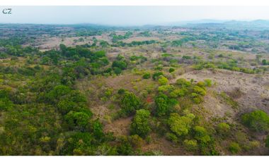 Venta de finca en El Higo de Santiago de Veraguas.