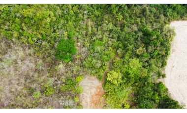 Venta de finca en El Higo de Santiago de Veraguas.