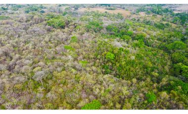 Venta de finca en El Higo de Santiago de Veraguas.