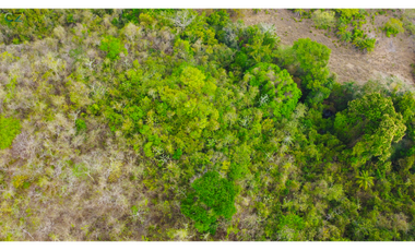 Venta de finca en El Higo de Santiago de Veraguas.