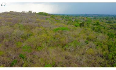 Venta de finca en El Higo de Santiago de Veraguas.