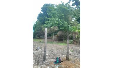 VENDO LOTE DE 388M2 TITULADO DAVID CENTRO