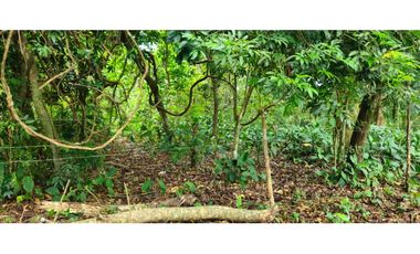 VENDO FINCA DE 2 HAS EN HIGO