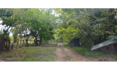 VENDO FINCA DE 2 HAS EN HIGO