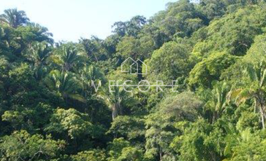 DEPARTAMENTO EN PREVENTA EN SAYULITA, NAYARIT