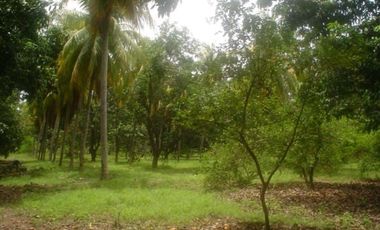 Terreno en venta Ixtapa Zihuatanejo cerca de Playa Blanca