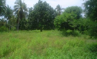 Terreno en venta Ixtapa Zihuatanejo cerca de Playa Blanca