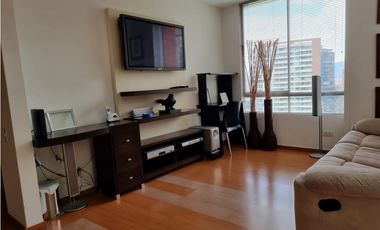 Apartamento Amoblado sector Tesoro
