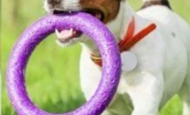 VENTA CASA EN PRIV. RESIDENCIAL EN CONKAL AL NORTE DE MERIDA, YUCATAN