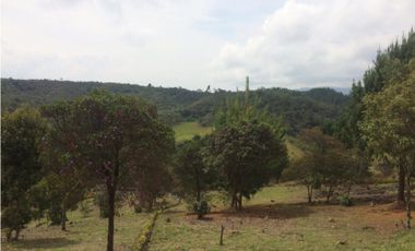Green Paradise Found: Build Your Dream Home on 1408 sqm in San Felix
