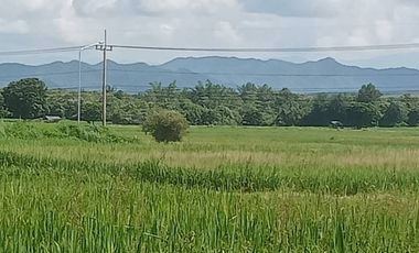 Land for sale in , Lampang