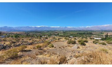 Venta excelente parcela 8.638,18 m2 en Hacienda Rinconada