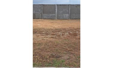 Terreno en venta en Samborondon, Ciudad Celeste