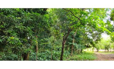 VENDO 1 HAS EN EL HIGO DE DOLEGA