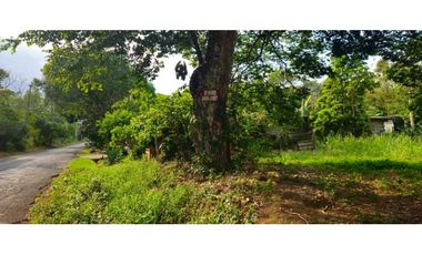 VENDO 1 HAS EN EL HIGO DE DOLEGA