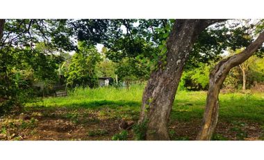 VENDO 1 HAS EN EL HIGO DE DOLEGA