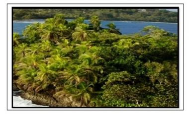 Se VENDE Terreno en Bocas del Toro, Corregimiento de Bastimentos